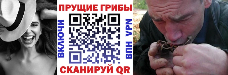 как найти закладки Луза Галлюциногенные грибы MAGIC MUSHROOMS